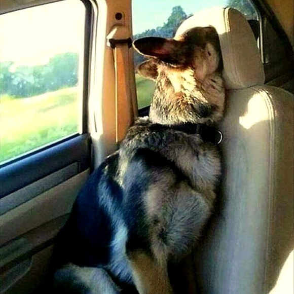 Meet your Posher, Jim - Picture 2 of 2